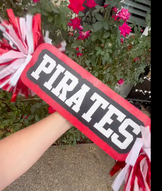 Spirit Stick with Pompoms